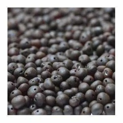 Adult Cherryaid Black Raw Dark Cherry Baltic Amber Anklet