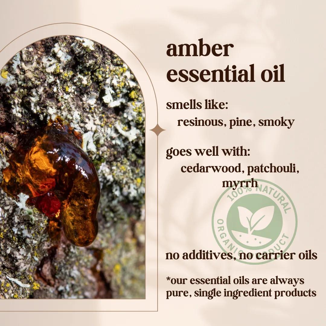 Avivni Amber Essential Oil- 100% Pure, Organic, Therapeutic Grade, 0.33oz (10ml)