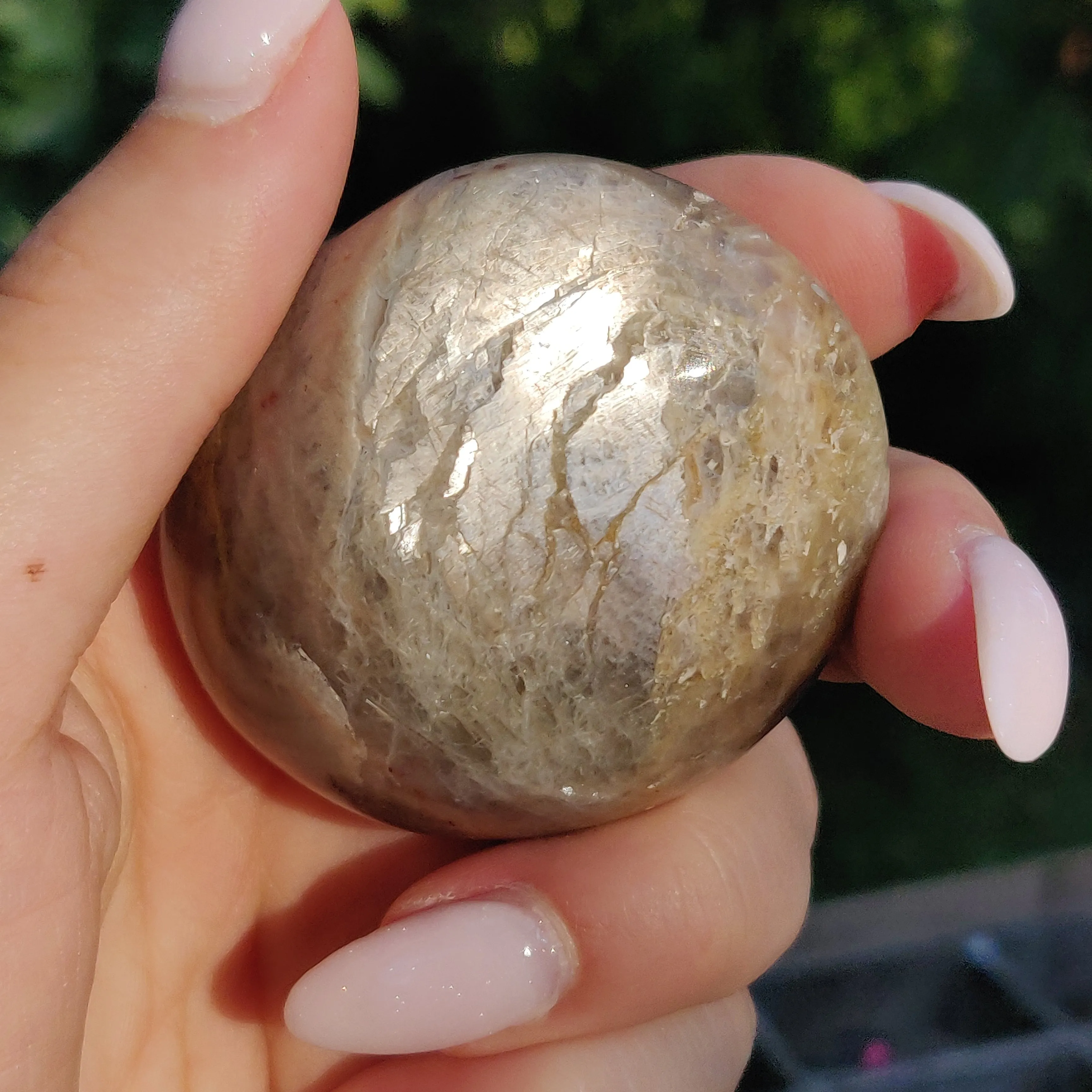 Black Moonstone Palm Stone, Flashy Black Moonstone (#15)