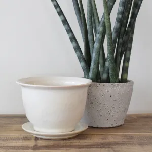 Medium Cachet Pot Moonstone