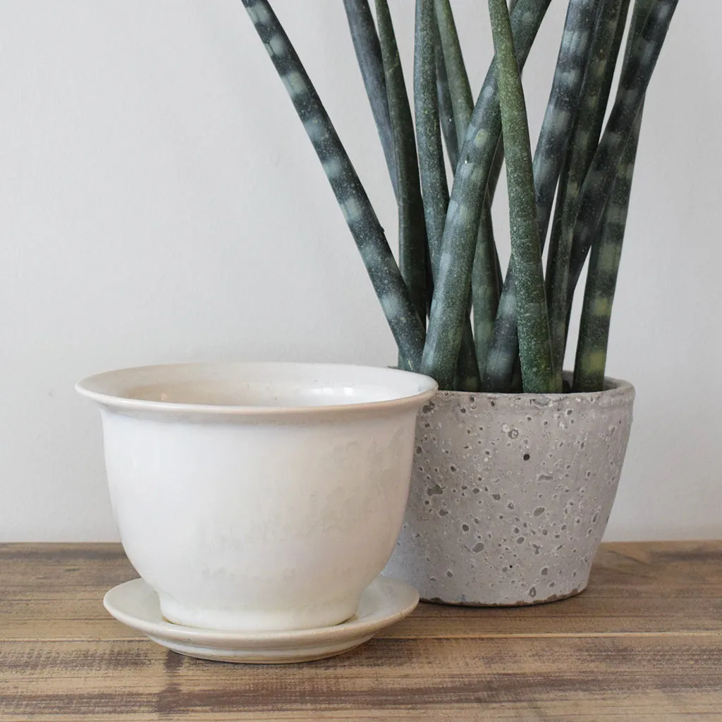 Medium Cachet Pot Moonstone