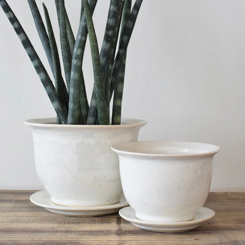 Medium Cachet Pot Moonstone