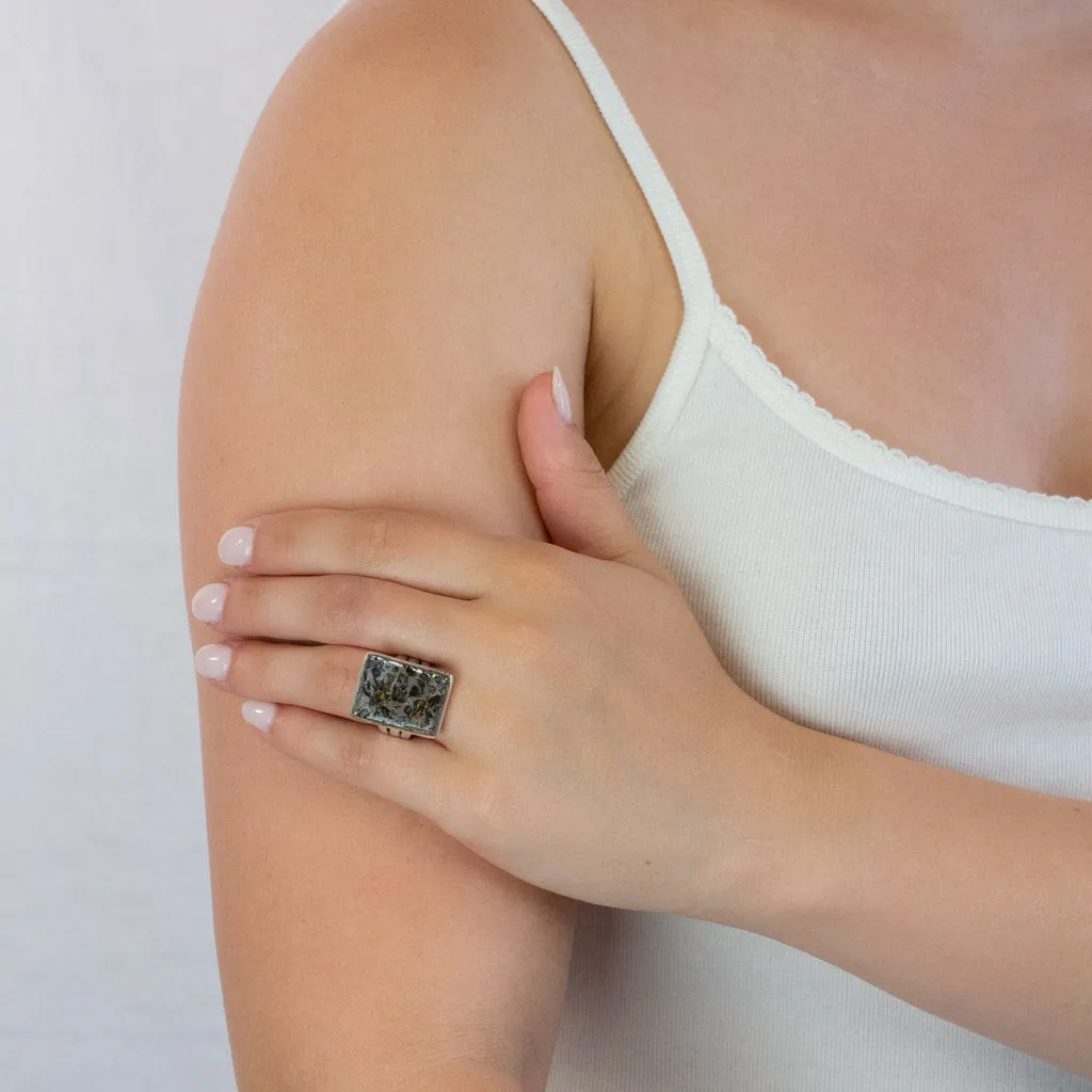 Pallasite Ring