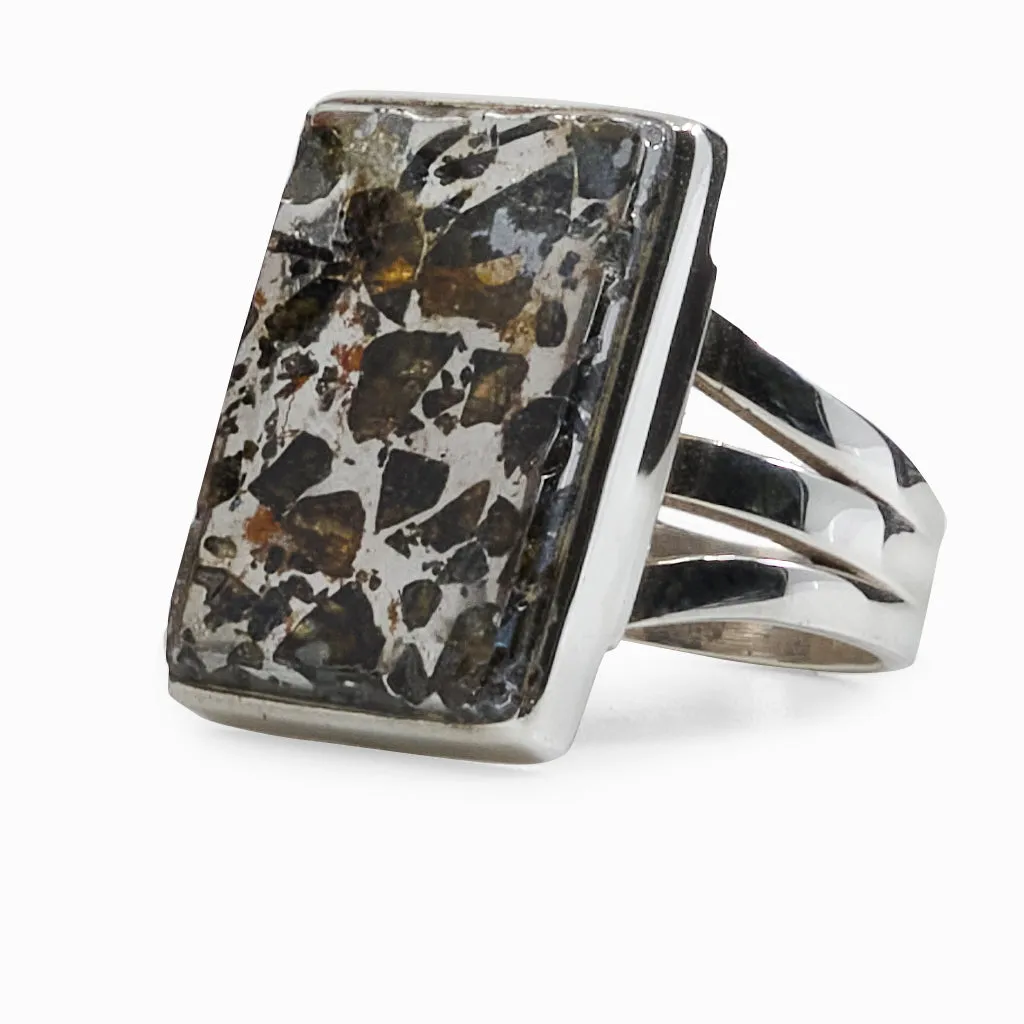 Pallasite Ring