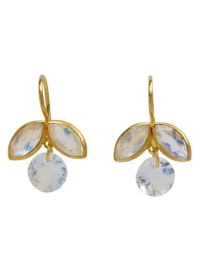 Rainbow Moonstone Apple Earrings